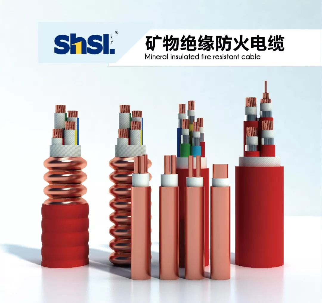 區政協主席陳勇章一(yī / yì ／yí)行莅臨上(shàng)海浦東電線電纜集團2.jpg